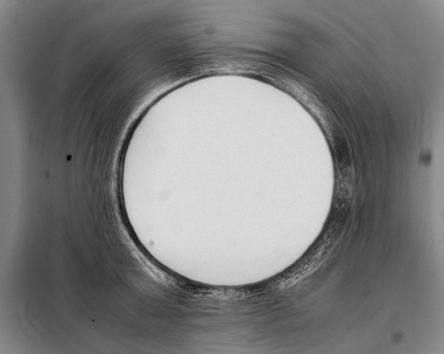 X0000097980803200804211036