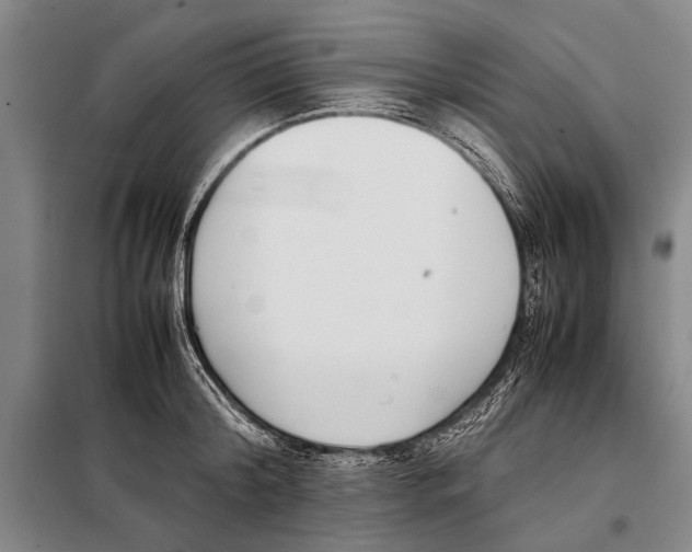 X0000097980804200804211036