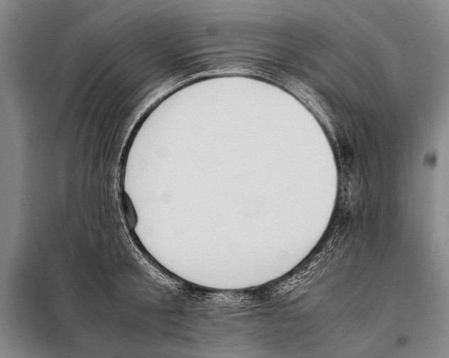 X0000097980805200804211036