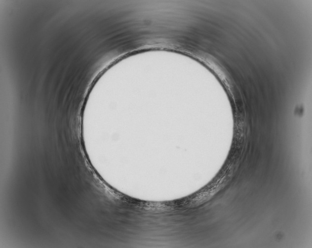 X0000097980807200804211036