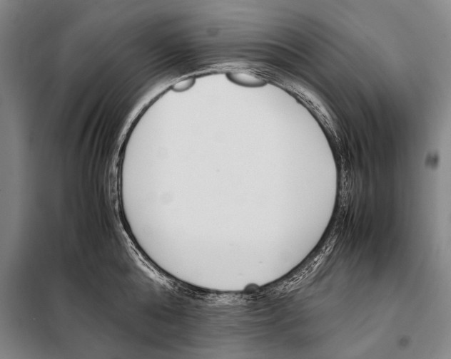 X0000097980808200804211036