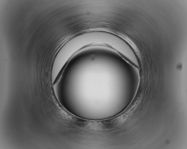 X0000097980809200804211036