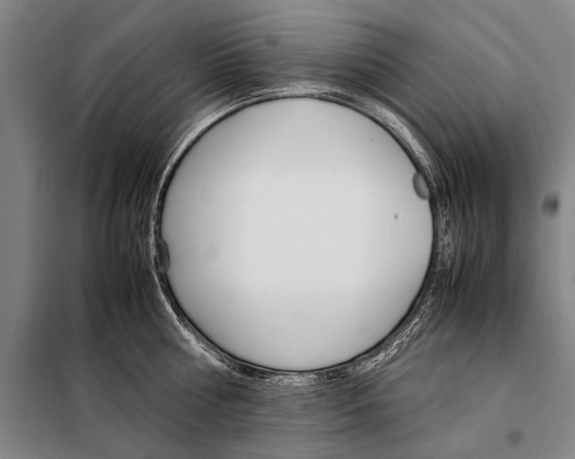 X0000097980810200804211036