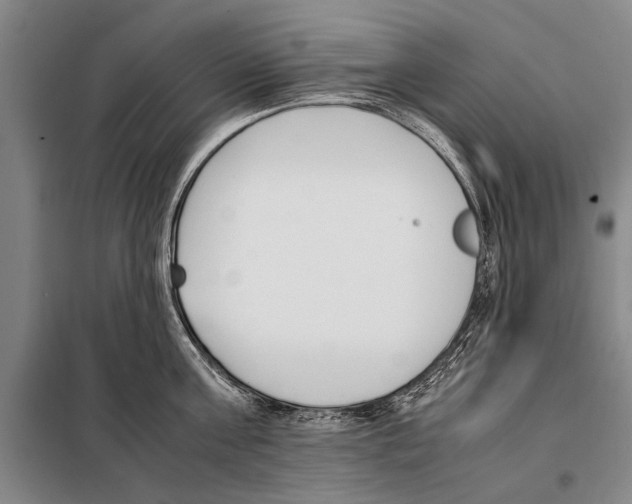 X0000097980811200804211036