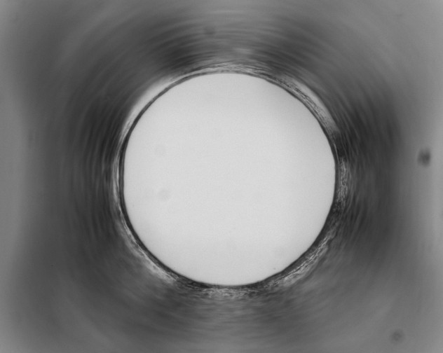 X0000097980812200804211036