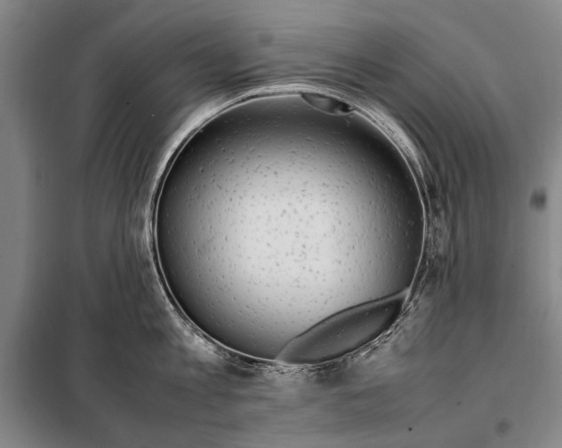 X0000097980813200804211036