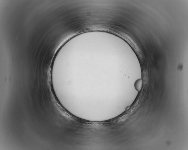 X0000097980814200804211036