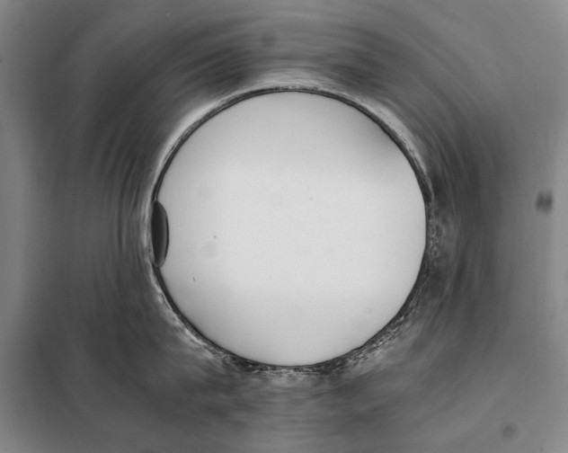 X0000097980815200804211036