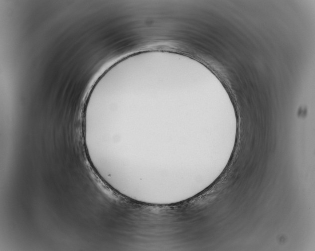 X0000097980816200804211036