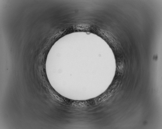 X0000097980817200804211035