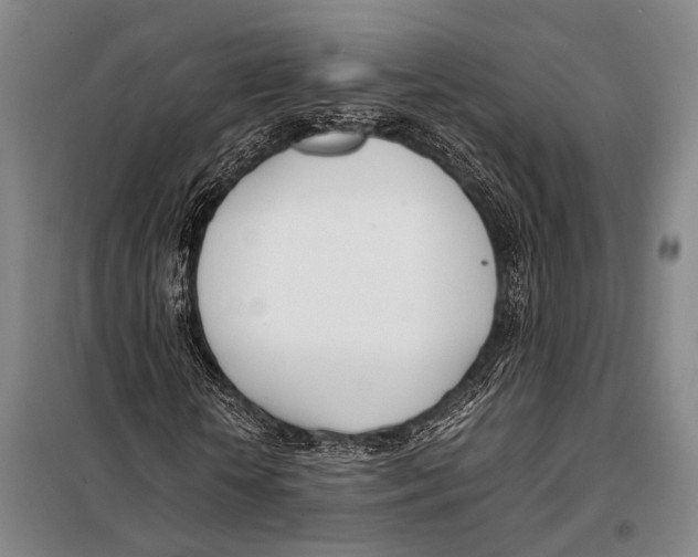 X0000097980818200804211035