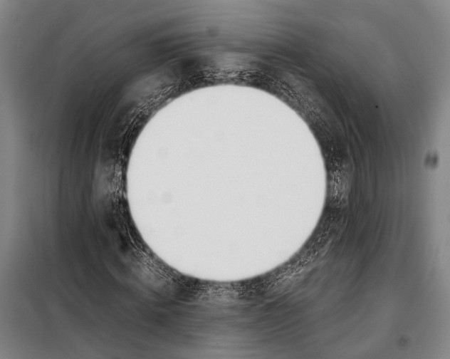 X0000097980820200804211035