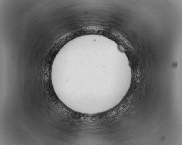 X0000097980821200804211035