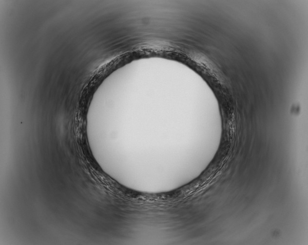 X0000097980822200804211035