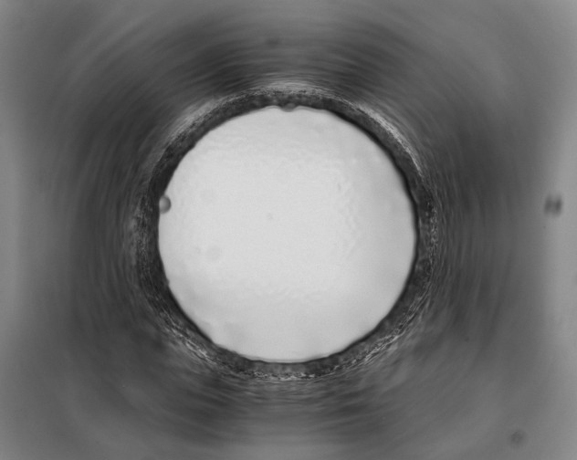 X0000097980823200804211035