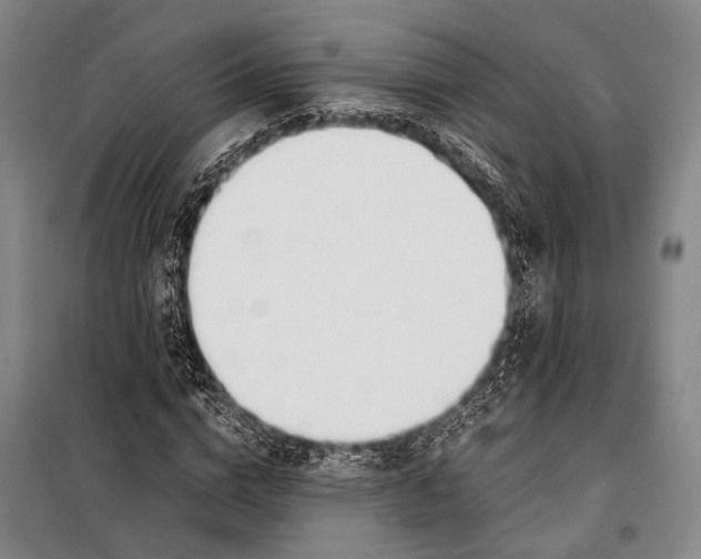 X0000097980824200804211035