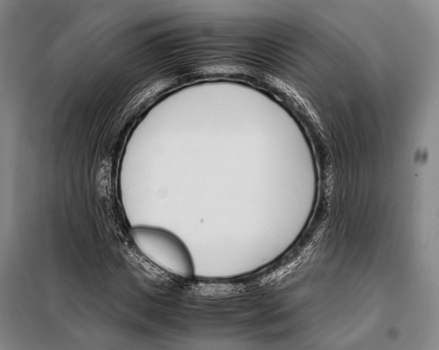 X0000097980825200804211035