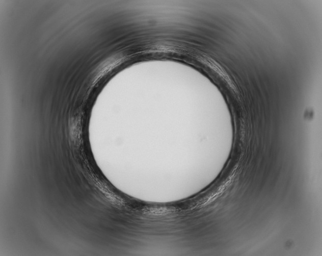 X0000097980826200804211035