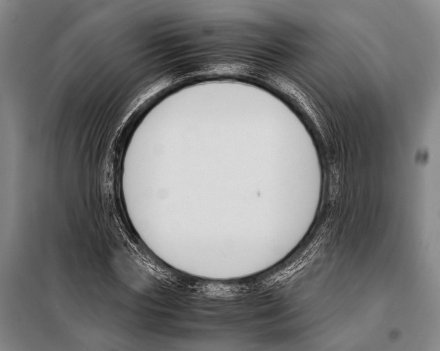 X0000097980827200804211035