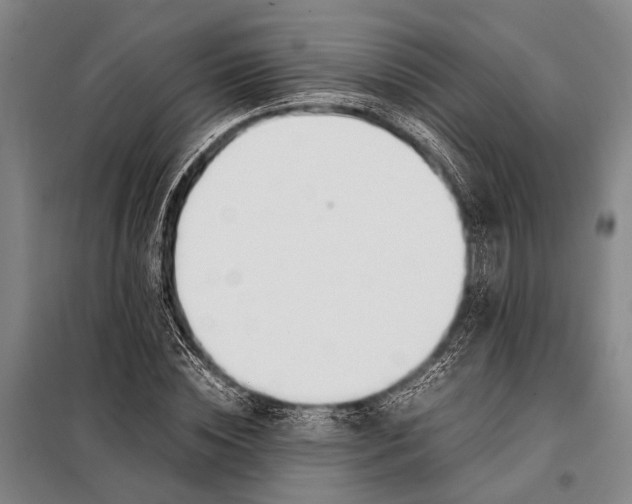 X0000097980828200804211035