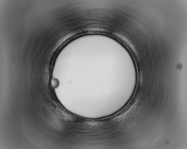 X0000097980829200804211035