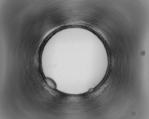 X0000097980830200804211036