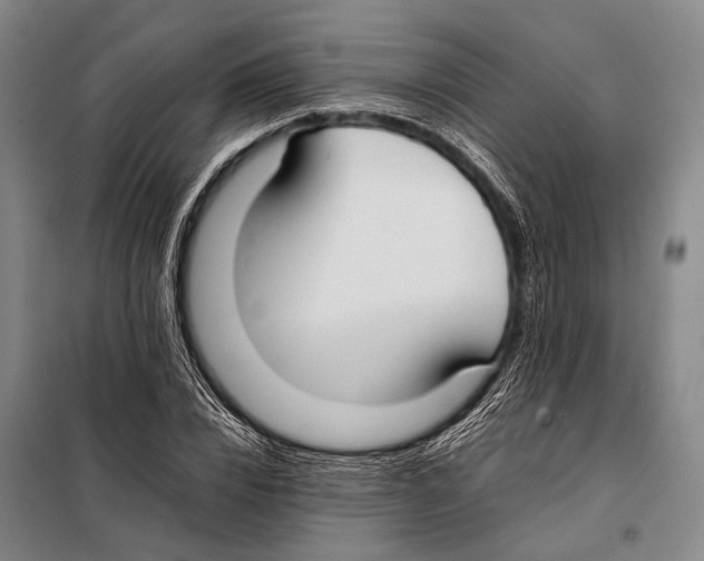 X0000097980832200804211036