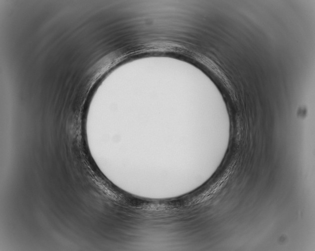 X0000097980834200804211036