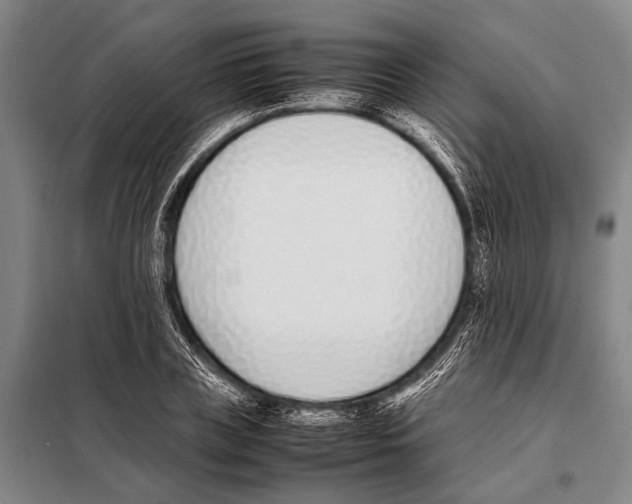 X0000097980835200804211036