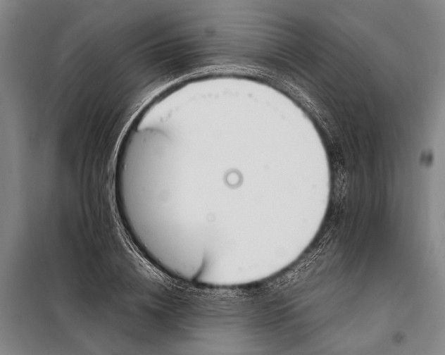 X0000097980836200804211036