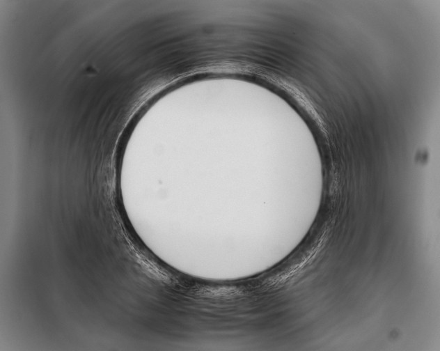 X0000097980837200804211036