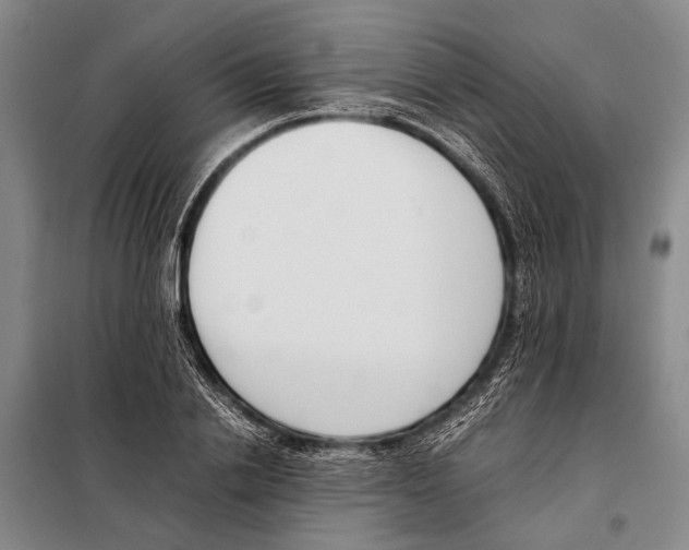 X0000097980838200804211036