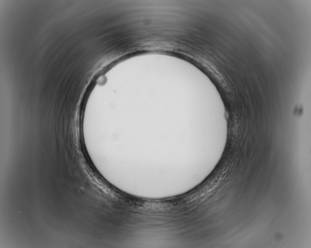 X0000097980840200804211036