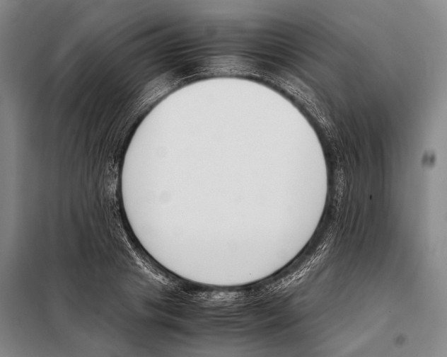 X0000097980841200804211036