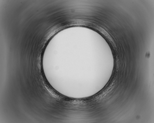 X0000097980842200804211036