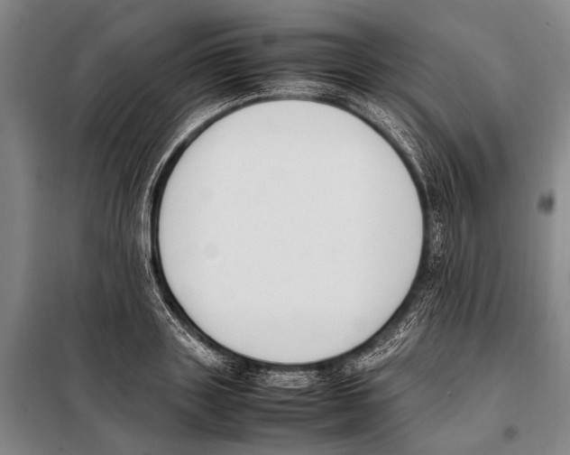 X0000097980843200804211036