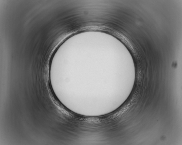 X0000097980844200804211036