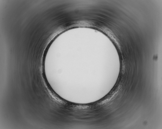 X0000097980845200804211036