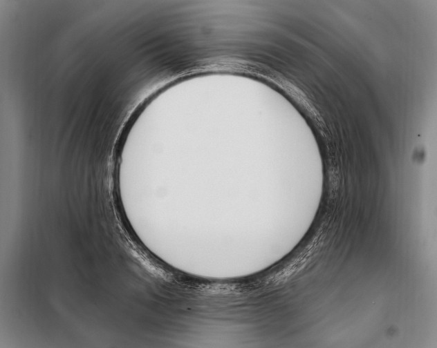 X0000097980846200804211036