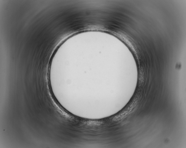 X0000097980847200804211036