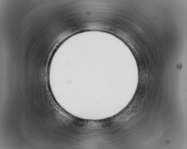 X0000097980848200804211036