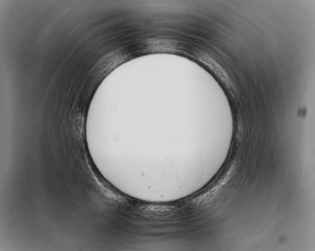 X0000097980849200804211036