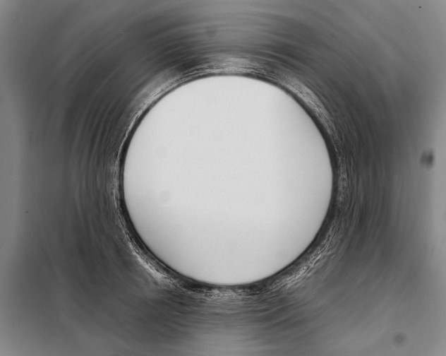 X0000097980850200804211036