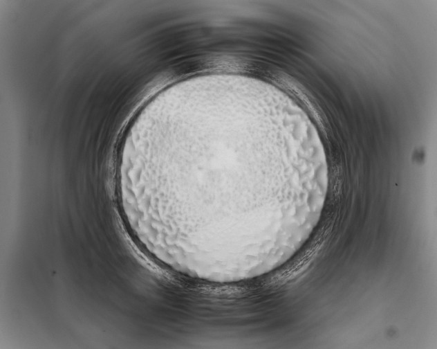 X0000097980851200804211036