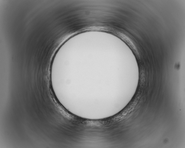 X0000097980852200804211036