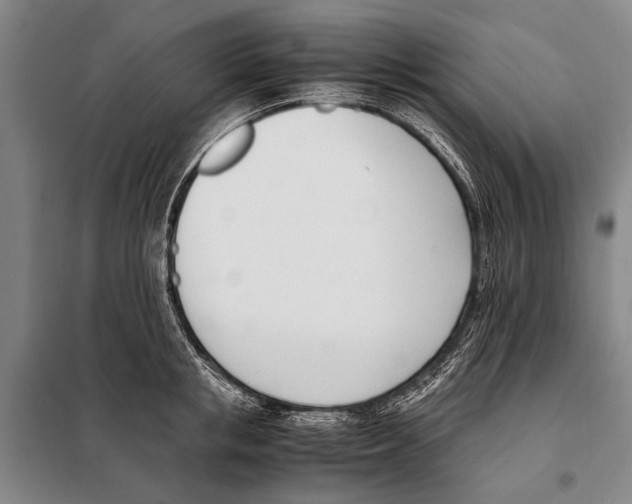 X0000097980853200804211036