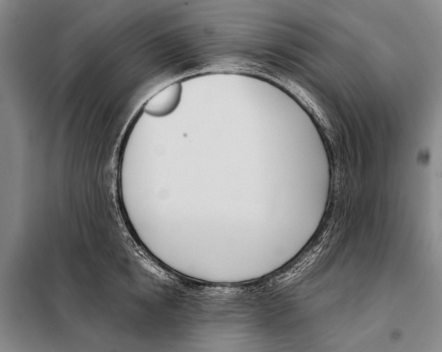 X0000097980854200804211036