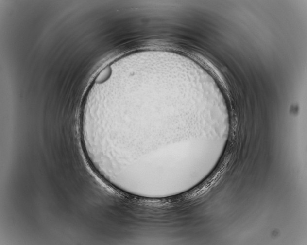 X0000097980855200804211036