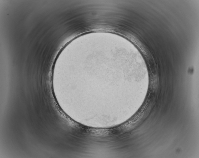 X0000097980856200804211036