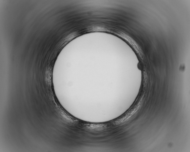 X0000097980857200804211036